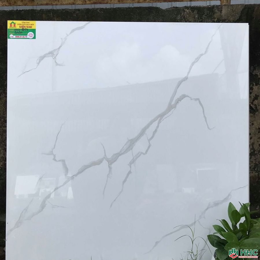 Gạch lát nền catalan 80x80 KA178059